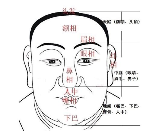 下巴凹陷面相|据面相大师说这四个部位凹陷，特别影响运势